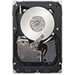 Seagate Cheetah 15K.7 FC 450-GB (ST3450857FC) Seagate Cheetah 15K.7 FC 450-GB (ST3450857FC)